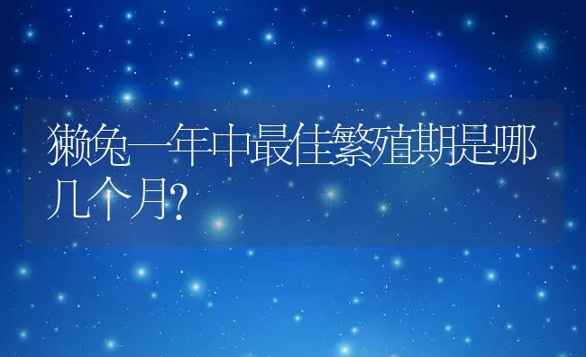 獭兔一年中最佳繁殖期是哪几个月？ | 水产养殖知识