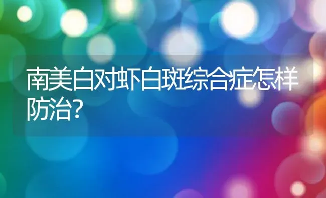 南美白对虾白斑综合症怎样防治？ | 动物养殖百科