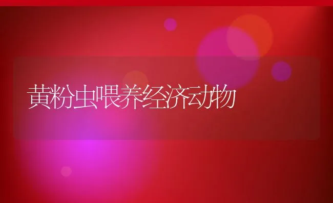 河蟹春季养殖技术要点 | 海水养殖技术