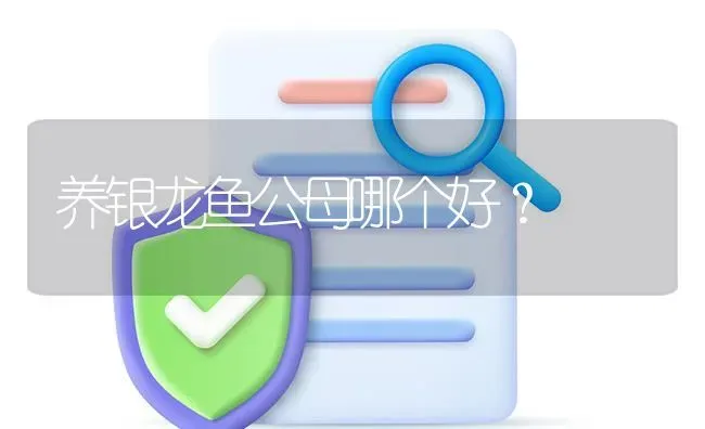 养银龙鱼公母哪个好？ | 鱼类宠物饲养