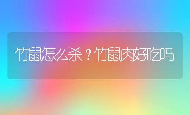 竹鼠怎么杀？竹鼠肉好吃吗 | 动物养殖百科