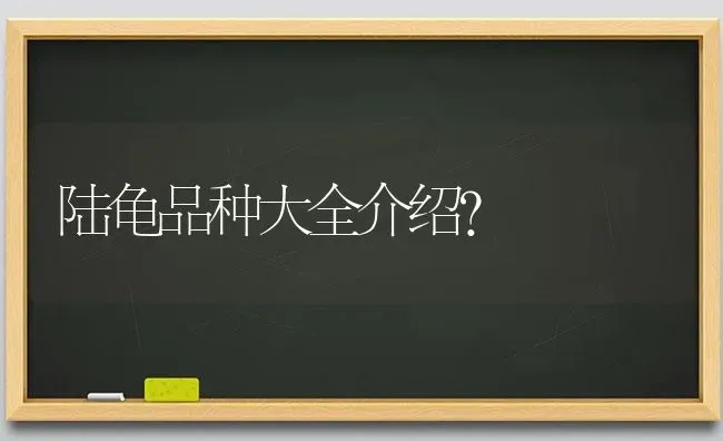 陆龟品种大全介绍？ | 动物养殖问答