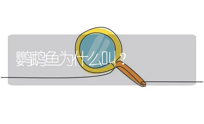 鹦鹉鱼为什么叫？ | 鱼类宠物饲养