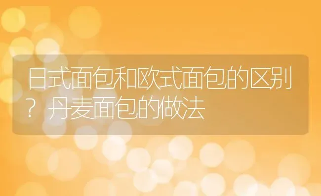 日式面包和欧式面包的区别?丹麦面包的做法 | 动物养殖百科