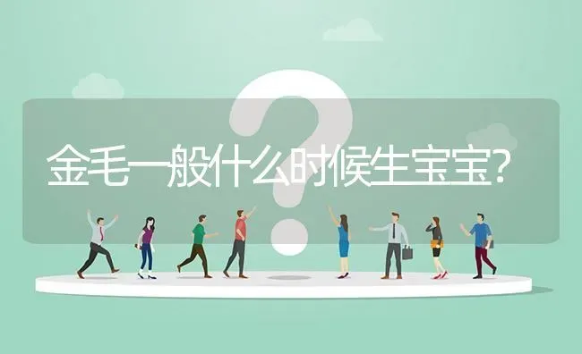 金毛一般什么时候生宝宝？ | 动物养殖问答