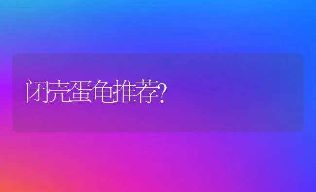 闭壳蛋龟推荐？ | 动物养殖问答