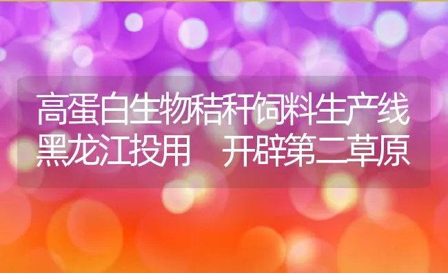 高蛋白生物秸秆饲料生产线黑龙江投用 开辟第二草原 | 动物养殖学堂