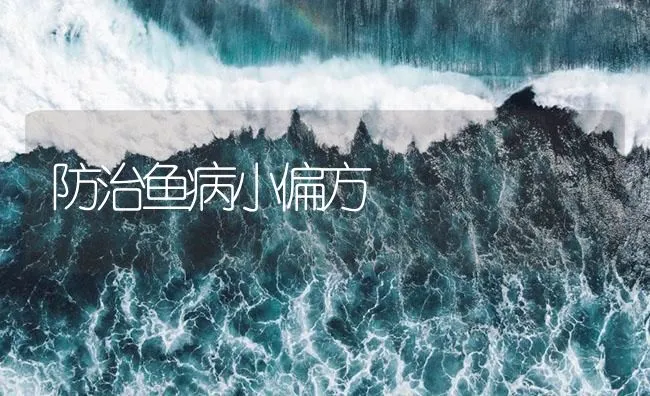 防治鱼病小偏方 | 海水养殖技术