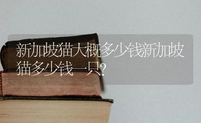 下司犬的智商忠诚排名？ | 动物养殖问答