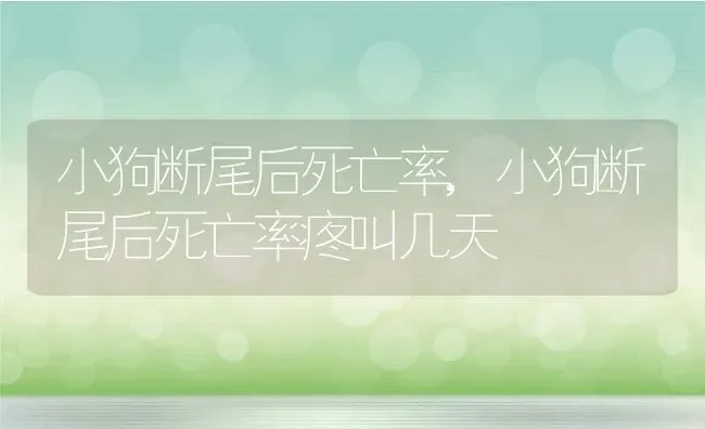 小狗断尾后死亡率,小狗断尾后死亡率疼叫几天 | 宠物百科知识