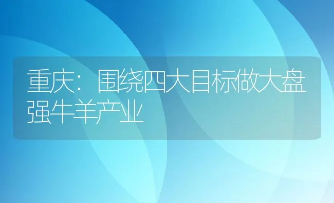 重庆：围绕四大目标做大盘强牛羊产业 | 动物养殖饲料