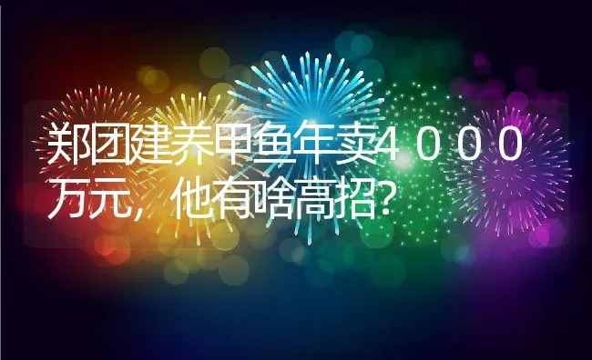 郑团建养甲鱼年卖4000万元，他有啥高招？ | 动物养殖百科