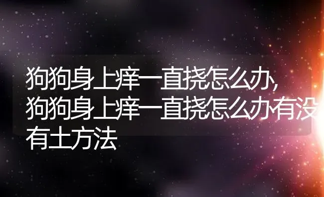 狗狗身上痒一直挠怎么办,狗狗身上痒一直挠怎么办有没有土方法 | 宠物百科知识