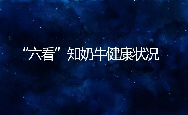 “六看”知奶牛健康状况 | 动物养殖饲料