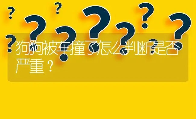 狗狗的寿命是多久？ | 动物养殖问答