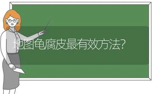 地图龟腐皮最有效方法？ | 动物养殖问答