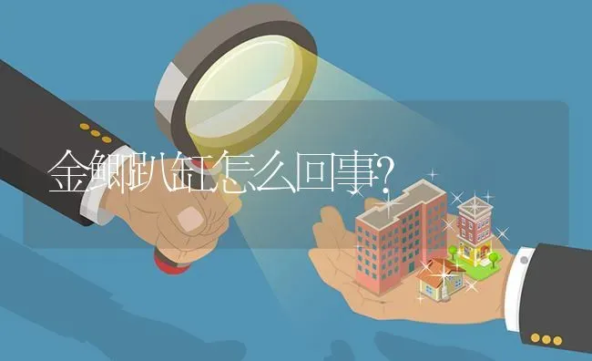 金鲫趴缸怎么回事？ | 鱼类宠物饲养