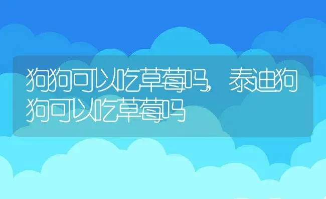 狗狗可以吃草莓吗,泰迪狗狗可以吃草莓吗 | 宠物百科知识