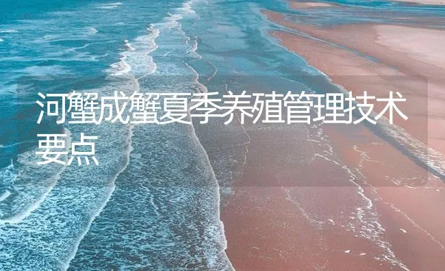 河蟹成蟹夏季养殖管理技术要点 | 海水养殖技术