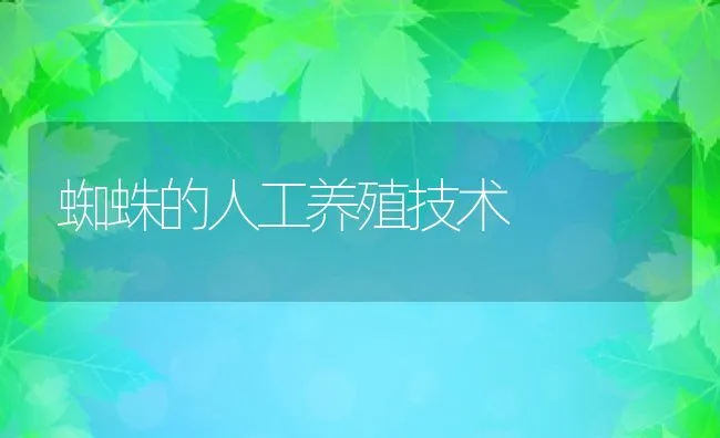 蜘蛛的人工养殖技术 | 水产养殖知识