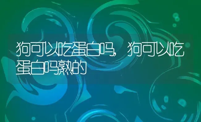 狗可以吃蛋白吗,狗可以吃蛋白吗熟的 | 宠物百科知识