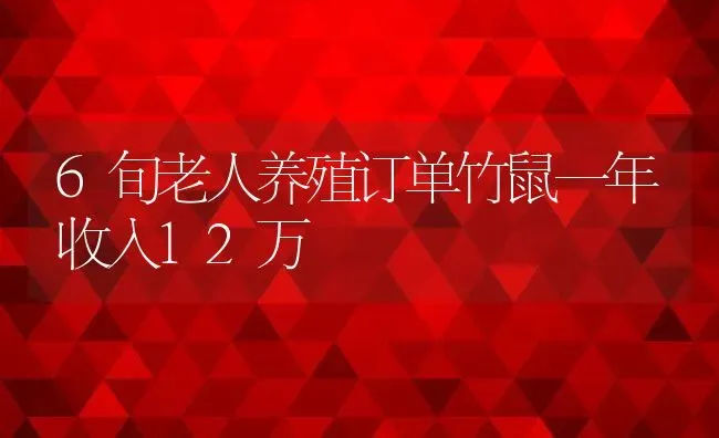 6旬老人养殖订单竹鼠一年收入12万 | 动物养殖百科