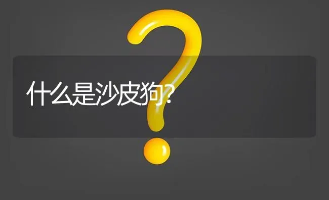 什么是沙皮狗？ | 动物养殖问答