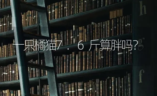 造梦西游4手机版金毛吼在锁妖塔第几层掉？ | 动物养殖问答