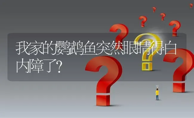 我家的鹦鹉鱼突然眼睛得白内障了？ | 鱼类宠物饲养