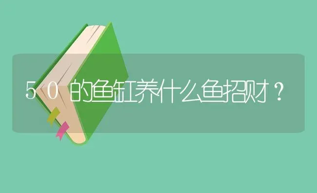 50的鱼缸养什么鱼招财？ | 鱼类宠物饲养