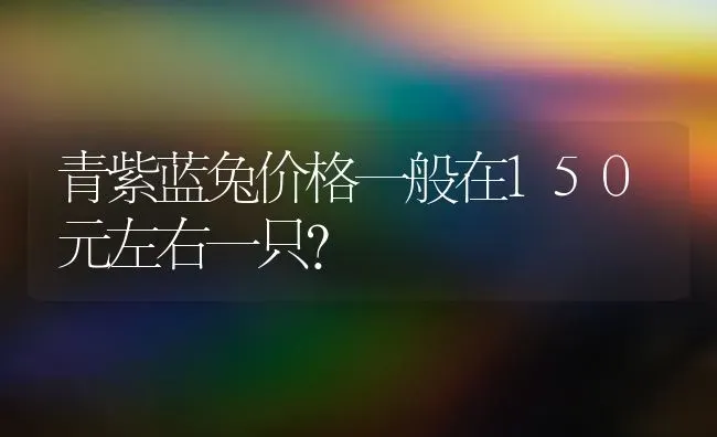 青紫蓝兔价格一般在150元左右一只？ | 动物养殖问答