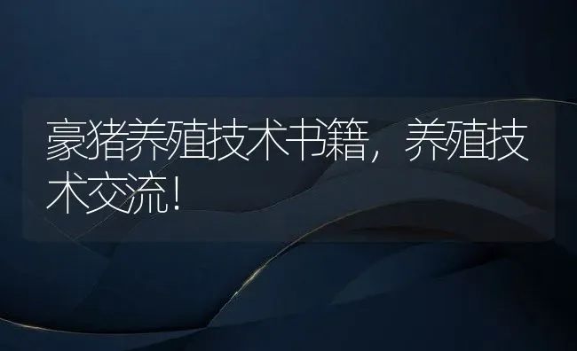 豪猪养殖技术书籍，养殖技术交流！ | 动物养殖百科