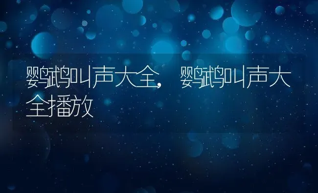 鹦鹉叫声大全,鹦鹉叫声大全播放 | 宠物百科知识