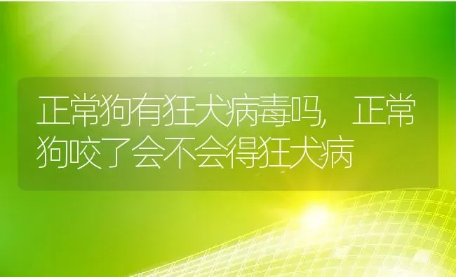 正常狗有狂犬病毒吗,正常狗咬了会不会得狂犬病 | 宠物百科知识