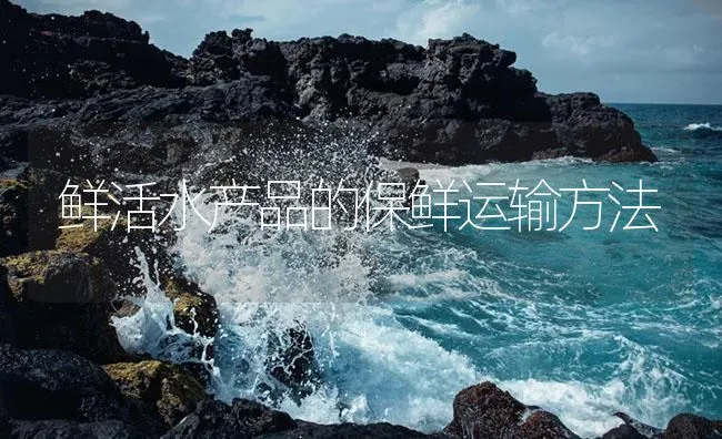 鲜活水产品的保鲜运输方法 | 海水养殖技术