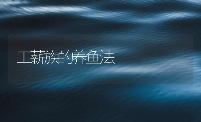 工薪族的养鱼法 | 海水养殖技术