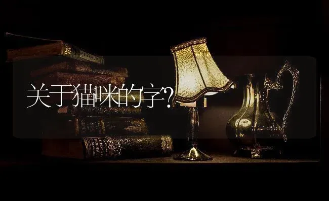 关于猫咪的字？ | 动物养殖问答