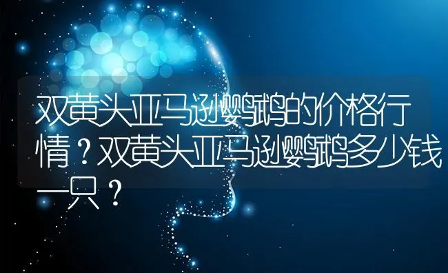 双黄头亚马逊鹦鹉的价格行情？双黄头亚马逊鹦鹉多少钱一只？ | 动物养殖问答