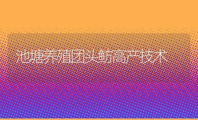 池塘养殖团头鲂高产技术 | 动物养殖饲料