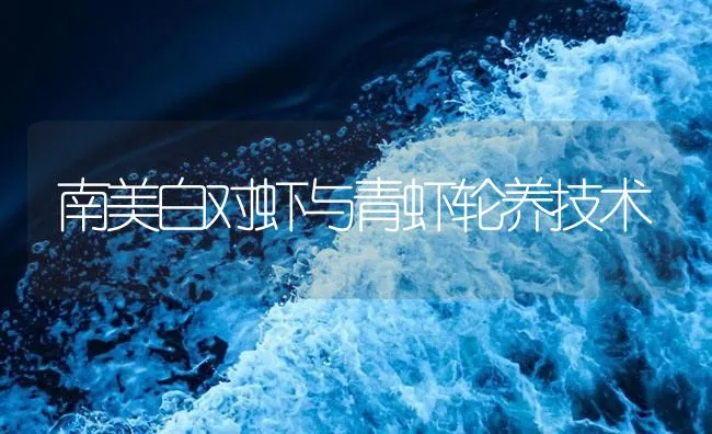 南美白对虾与青虾轮养技术 | 海水养殖技术