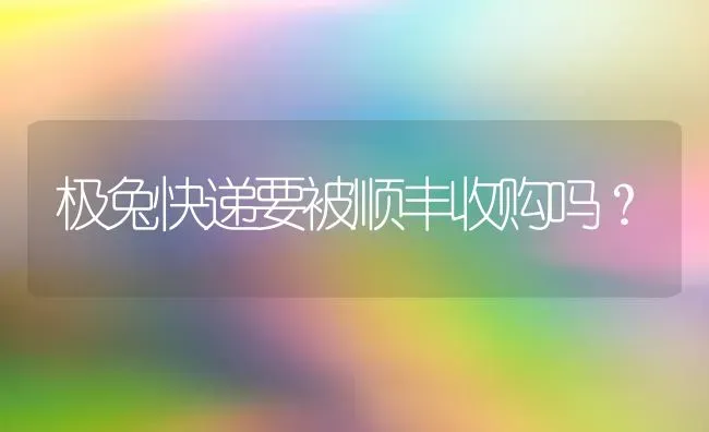 极兔快递要被顺丰收购吗？ | 动物养殖问答