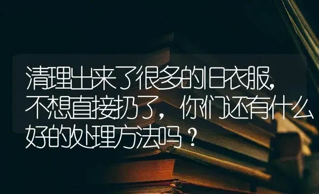 清理出来了很多的旧衣服，不想直接扔了，你们还有什么好的处理方法吗？ | 动物养殖问答