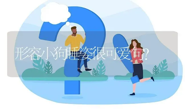 形容小狗睡姿很可爱句？ | 动物养殖问答