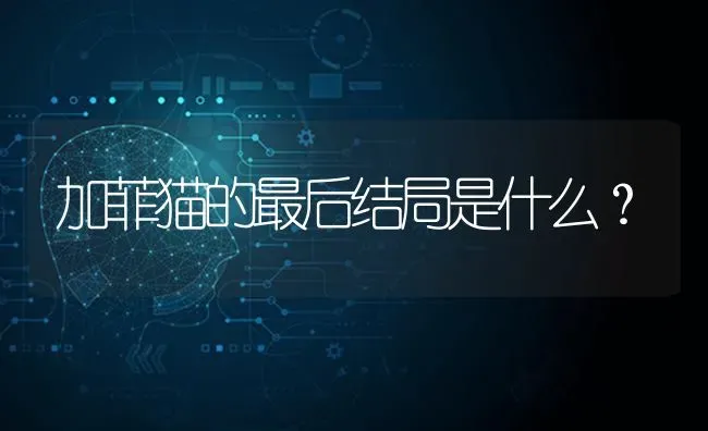 加菲猫的最后结局是什么？ | 动物养殖问答