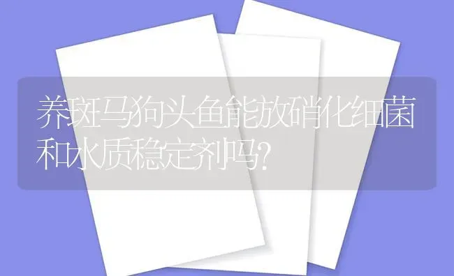 养斑马狗头鱼能放硝化细菌和水质稳定剂吗？ | 鱼类宠物饲养