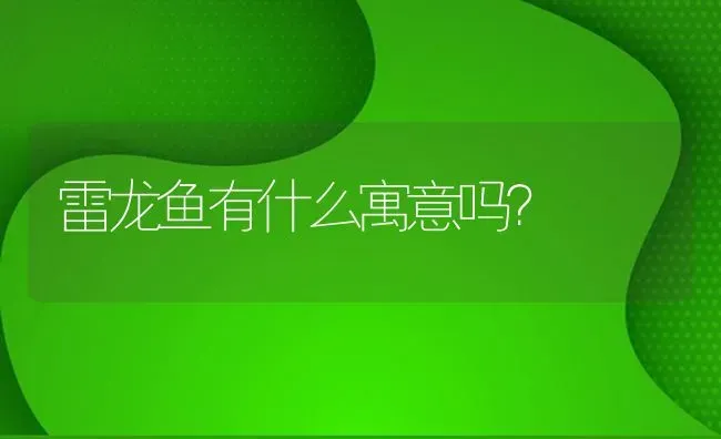 雷龙鱼有什么寓意吗？ | 鱼类宠物饲养