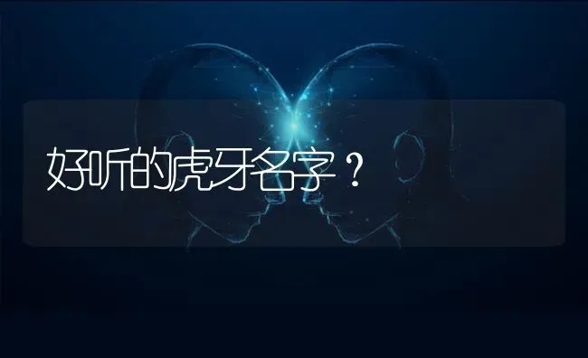 好听的虎牙名字？ | 动物养殖问答