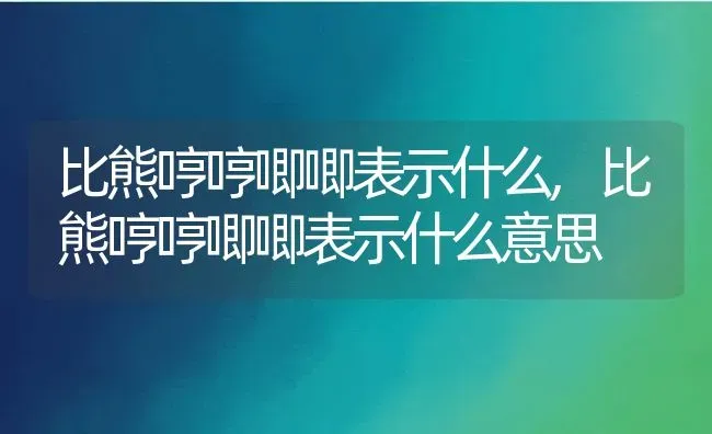 比熊哼哼唧唧表示什么,比熊哼哼唧唧表示什么意思 | 宠物百科知识