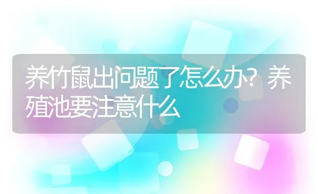 养竹鼠出问题了怎么办？养殖池要注意什么 | 动物养殖百科