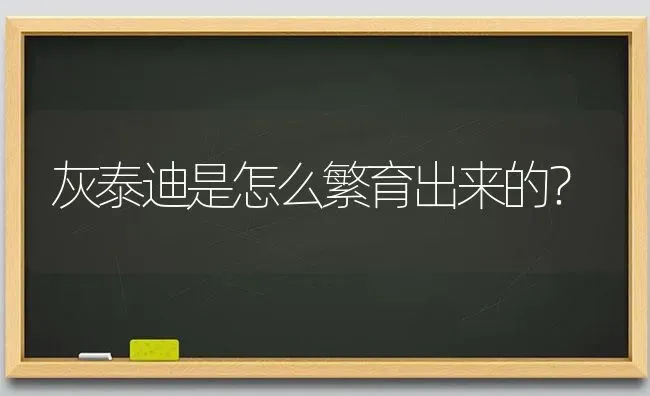 泰迪狗肝脏衰竭症状？ | 动物养殖问答